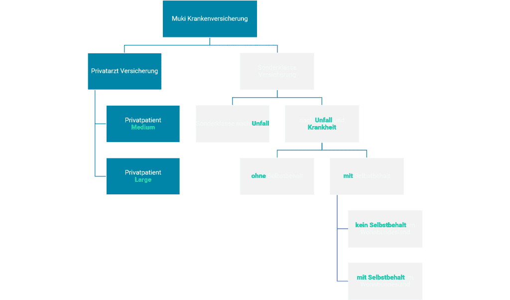 Muki Krankenversicherung Übersicht Tarife Privatarzt