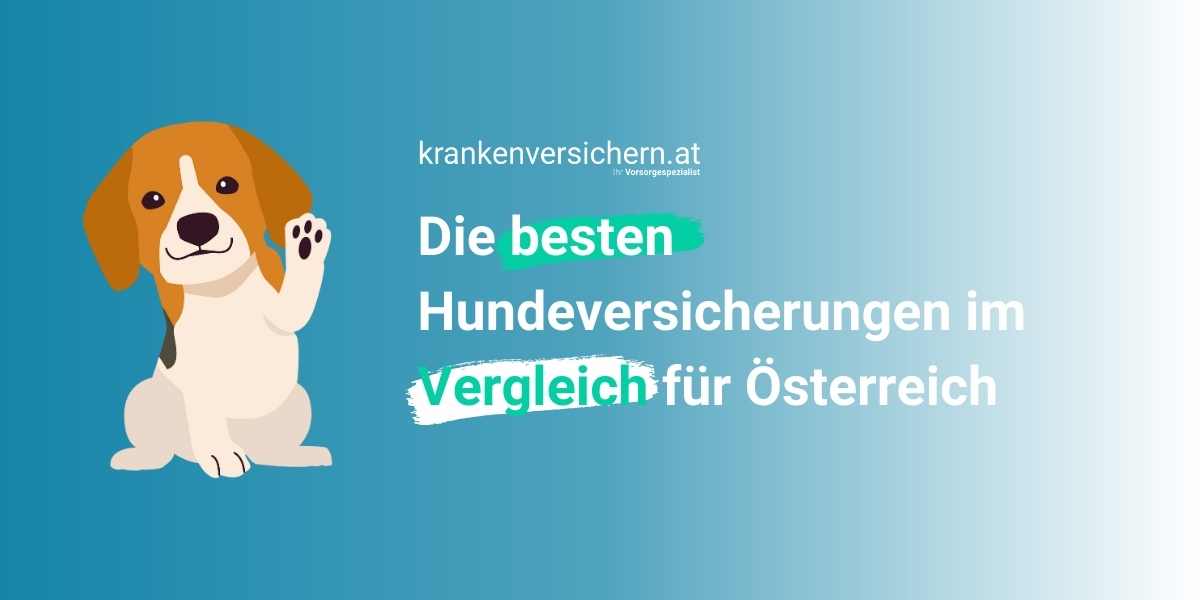 hundeversicherung österreich